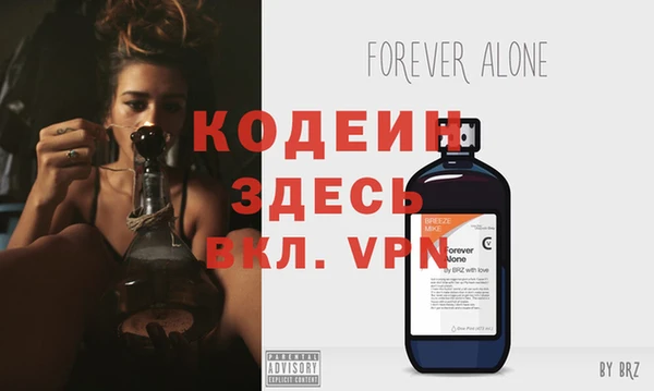 винт Липки