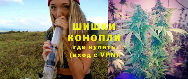 винт Липки