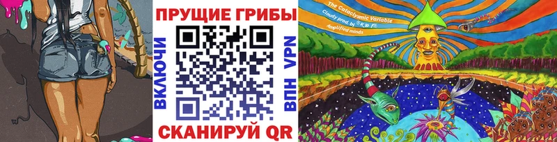 KRAKEN ТОР  Крым  Галлюциногенные грибы Psilocybine cubensis 